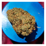 *NEW* Northern Lights (7g-$50/14g-$75/28g-$140)(THC 29%) thumbnail 3