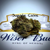 * JUNGLE CAKE - Hybrid ON SALE!