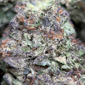 (28G) - Astro Mints 👩‍🚀 Indica - 4Oz Bulk Deal for $250 thumbnail 2