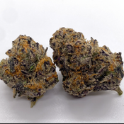 $100 AAAA+ *Gelato 