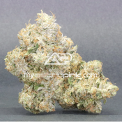 Lot #0739 Pink Bordeaux