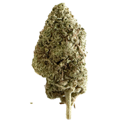 (OZ SALE) BLACKBERRY WIDOW - $250 FOR 4 OZ!!!