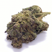 $50 OZ - Zombie OG