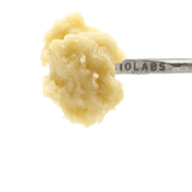 710labs - Concentrate - Persy Badder - Randy Watzon #13 - 1g