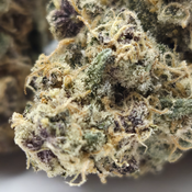 (NEW) Jokerz Candy 🤡🍬 ($115/Oz 🔥 🔥) thumbnail 2