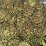 Electric OG(2 ozs for 130,3 ozs for 190,5 ozs for 275)