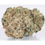 Gorilla Glue