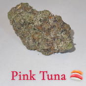5A Pink Tuna 💗🐟💗🐟💗🐟💗🐟💗