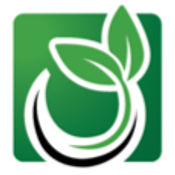 The Social Leaf LLC