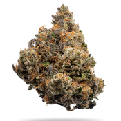 Tangerine Cream AAA+
