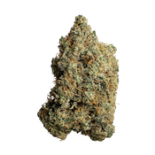 PURPLE URKLE