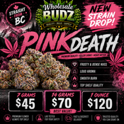 AAAA+ Pink Death Quads Kings 