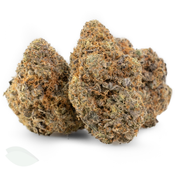 Biscotti (Indica Dominant Flower) thumbnail 1