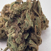 *SPECIAL* Monkey Business // 3oz for 120$