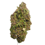 BC (AAA) BLUEBERRY KUSH (20% THC) thumbnail 3