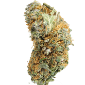 BC (AAA+)SOPHIE'S BREATH ( 1/2 OZ & OZ SALE )