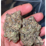 New Quadzilla Pink Gas ⛽️ 6 ⭐️ 135$Oz 2for225$