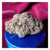 *NEW* Grape Ape (7g-$55/14g-$85/28g-$160) (THC 33%)