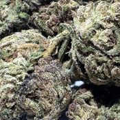 (NEW) High Society $65/Oz 🔥  thumbnail 3