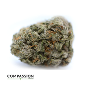 Kosher Kush