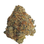 BC (AAAA) BLUE PETROL thumbnail 3