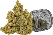 Blue Dream | 3.5g