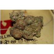 Sunset Sherbert thumbnail 3