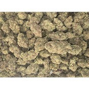 GAS MAC 120oz 2for220 4for420 thumbnail 4