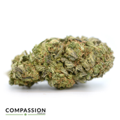 Pedro's Sweet Sativa