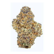 (INDICA) King Louis