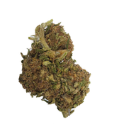 BC (AAA+) SLURRICRASHER thumbnail 3