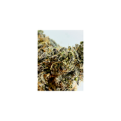 MEATBREATH LSO thumbnail 3