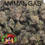 ANIMAL GAS AAAAA CRAFT - 2 FOR $200 - 4 FOR $350