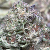 (28G) - Cereal Milk Hybrid🥣 🥛 | 4Oz Bulk Deal for $200 thumbnail 3