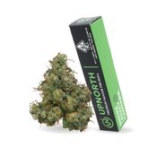 Durban Poison - 1g Preroll
