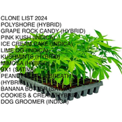 GET YOUR CLONES EARLY THIS YEAR!!!