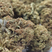 (NEW) Layer Cake ( $65/ Oz, 2x For $110) 🔥 🔥  thumbnail 3