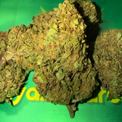 ******LEMON HAZE***** thumbnail 3