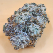 (5 STARS) Rainbow Sherbert 💯🔥💣⛽️ 2 oz for 250