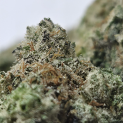 (NEW) Tigers Blood 🐅 🩸(2x Oz for 200/Oz 🔥) thumbnail 3