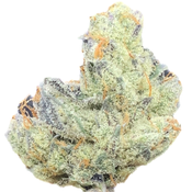 GREASY PINK  *LIVING SOIL ORGANIC*