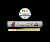 Lazer Fuel Pre-Roll