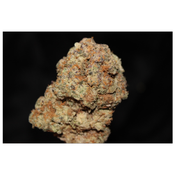 Master Kush thumbnail 4