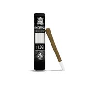 Kingroll 1.3g Single Georgia Pie x Queen Z Indica