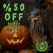 Enchanted Botanicals NM - Menaul