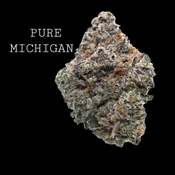 PURE MICHIGAN thumbnail 1