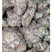 Tom Ford Pink Kush LSO (5A Med/Small)  thumbnail 1