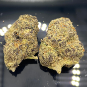 *NEW* Goat Gas