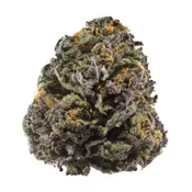 4OZ DEAL thumbnail 3