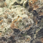 (NEW) Ice Cream Cake 🎂  thumbnail 2